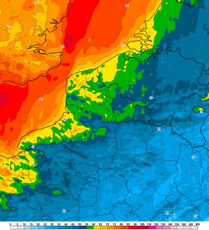 Image de la publication