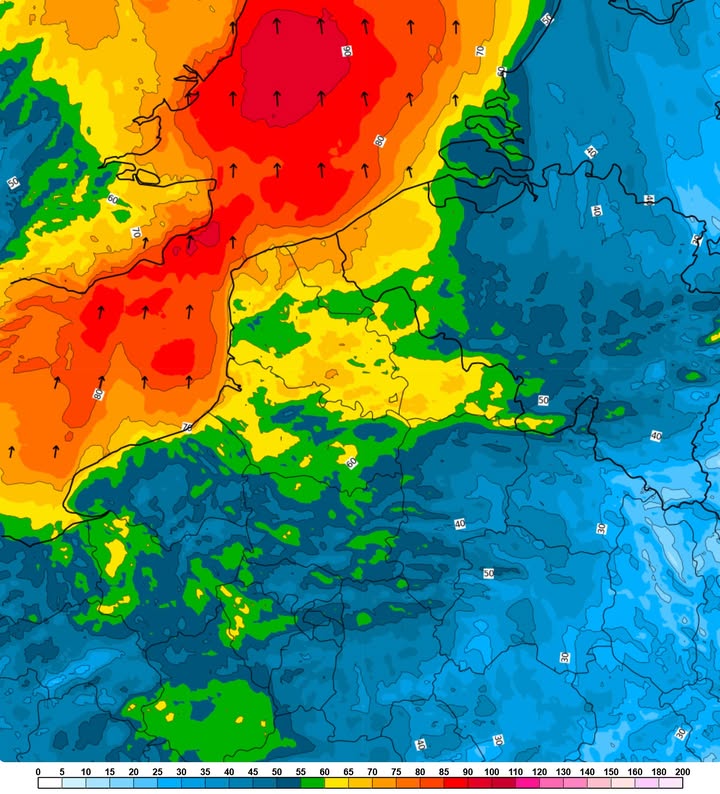 Image de la publication